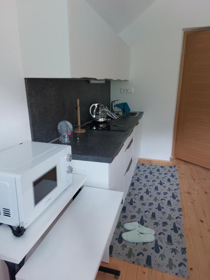 Apartma Sava-Stol Єсеніце Екстер'єр фото