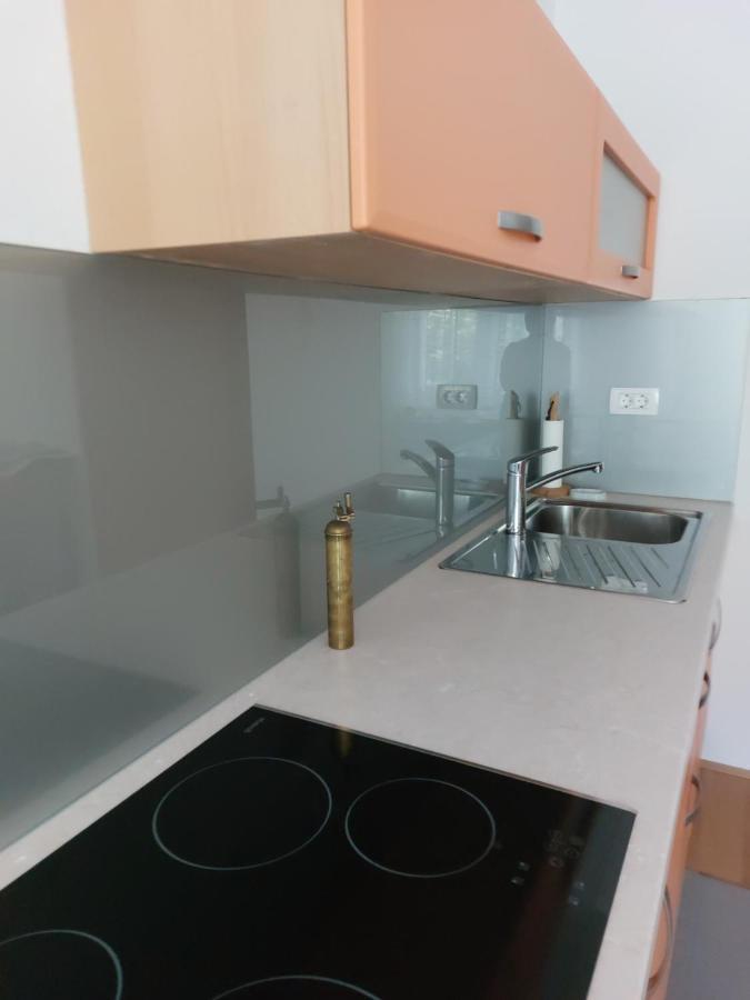 Apartma Sava-Stol Єсеніце Екстер'єр фото